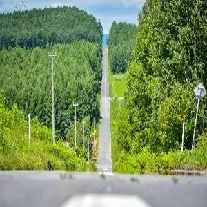 홋카이도 4일 #후라노비에이 #팜도미타 #라벤더아이스크림 #흰수염폭포 #소운쿄온천 #3대게+음료 무제한