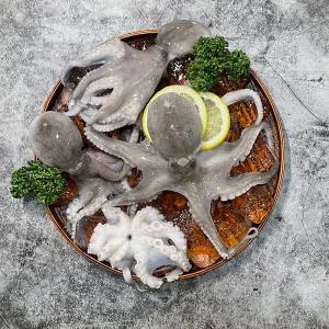 당일조업 제철 신선한 활쭈꾸미 1kg(7~12미)