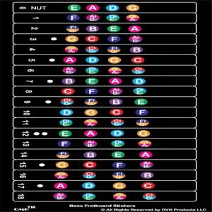 QMG 베이스 프렛보드 스티커 선명하고 평평한 음표가 있는 4현 컬러 코딩 노트 시각 학습자를 위한 18개의