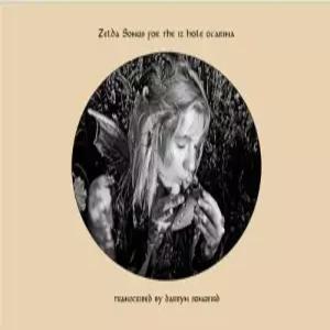 젤다 전설의 노래 12홀 오카리나 1권