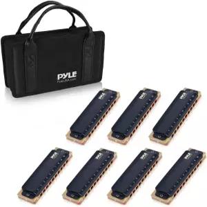 파일 프로페셔널 브라스 메탈 커버 10홀 7피스 다이아토닉 하모니카 키트 - 블루스 하프 세트 보관 케이스