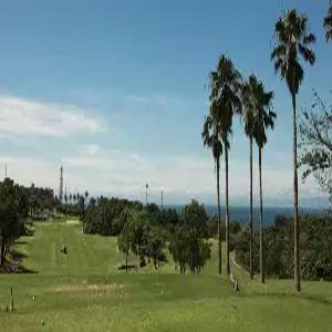 [대구출발] 오사카 골프 4일  #다색골프 #18홀X3회 #사카이/미사키/이즈미사노CC급 #간사이OMO호텔 #조식포함 #한국인드라이버