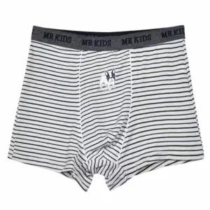 남아 드장미 3매입 키즈팬티 주니어팬티