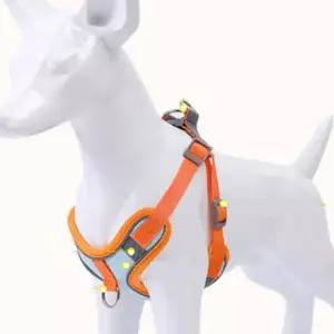 목줄 하네스 투톤 가슴줄 세트 강아지 애견 반려