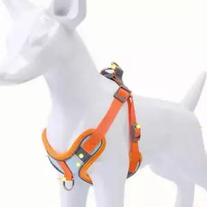 목줄 하네스 투톤 가슴줄 세트 강아지 애견 반려