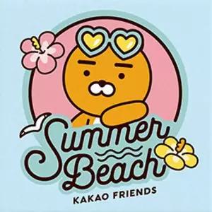 [아트박스]/아이러브페인팅 DIY 그림 그리기 카카오프렌즈 썸머비치 라이언 25x25