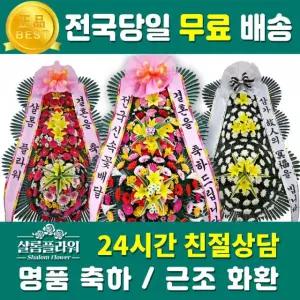 서양란 웨딩-명품