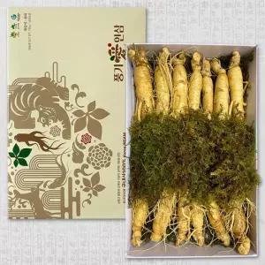 풍기인삼 6년근 500g 원수삼(13~15뿌리)