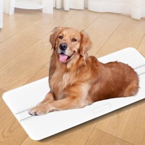 가정용 애완 동물 규모 고양이 개 무게 장치 작은 새로운 대형 병원 정밀 전자 저울