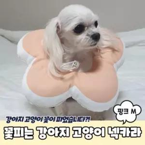 [반려] 쿠션 핑크 강아지 고양이 꽃피는 넥카라 M