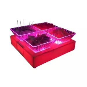 파티 플레이트 LED 플레이팅 접시 과일그릇 식기 노래방 바 테이블웨어