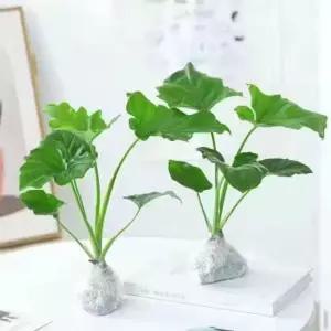 투명 화병 도자기 장식 유리 디퓨저병 인테리어 소품 책상 사무실 꽃병 장식품