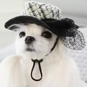 [반려] 페도라 웨딩 1P 마카롱 옐로우 패션 강아지 챙모자