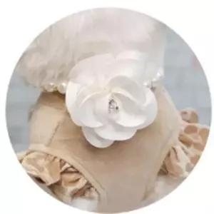 [반려] 액세서리 1P 화이트 목걸이 S 진주 코사지 강아지