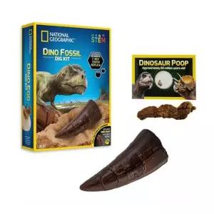 공룡 이빨 모형 캐기 화석 키트 고고 학자 역할 놀이