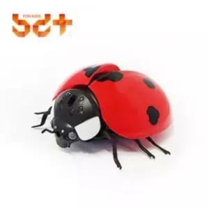 어린이용품 반디 무당벌레