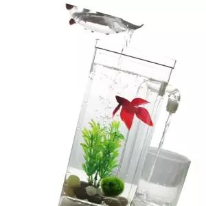 물고기키우기 물멍 자동 청소 어항 금붕어 구피 해수어 베타 키우기