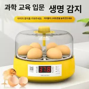 52QUAD 곰부화기 병아리육추기 육추기 오리 부화기 새알