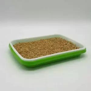 식물재배 트레이 씨앗 새싹키우기 모종판