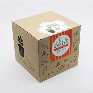 루꼴라 키우기 화분 세트 텃밭 가꾸기 식집사 식물 재배