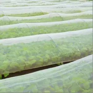 방충망 한랭사 2x5m 농작물 보호망 도시농업 해충방지망