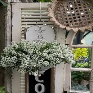 유럽풍 빈티지 철제 가든 인테리어 우체통 선반 술집 가드닝 엔틱 창문 촬영 벽걸이 꽃바구니