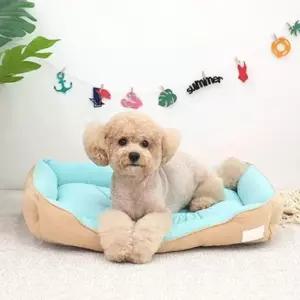 [반려] 썸머 블루베이지 강아지 쿨