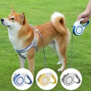 [반려] 고양이 반려견 슬림 디자인 감김 견인끈 리드줄 자동 산책줄