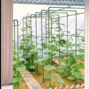 포도 지지대 정원 오이 토마토 넝쿨 폭90