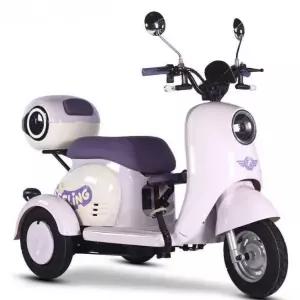 역삼륜 오토바이 바닷가 3륜 전기 바이크 관광지 이동