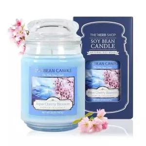 [에이치플러스몰]체리블라썸 향기뿜뿜 향초 소이캔들 실내방향제 567g