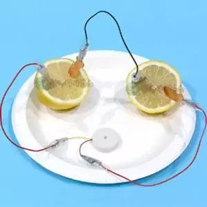 멜로디버저 과일전지 1인용 과학실험 방과후수업 만들기용품 관찰 놀이키트 사이언스