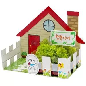 방과후 공기정화식물 하우스 만들기 5인 과학놀이 실험세트 사이언스 관찰