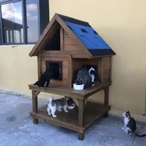 야외용 대형 원목 하우스 야외 실외 고양이집 집 캣타워 숨숨집 고양이