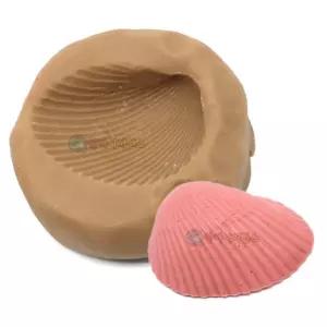 조개 화석 모형 만들기 유토 점토 과정 과학 체험 키트 2인용 관찰 실험세트 사이언스