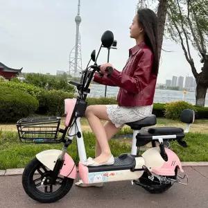 강아지 동승 전기자전거 스쿠터 라이딩 팻바이크 애완견