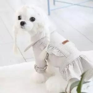 [반려] 1P 산책 패션 베이지 리본 체크 원피스 외출복 강아지