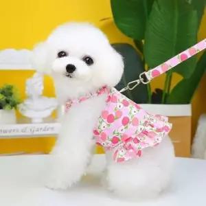 [반려] 봄 패션 데일리 스커트 여름 귀여운 나시 산책 반려견