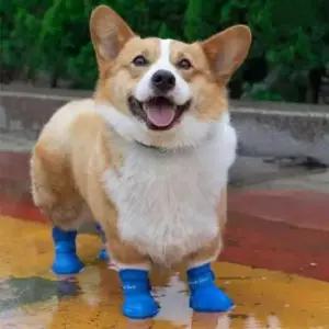 [반려] 부츠 산책 실리콘 여름 논슬립 반려동물 레인 소프트