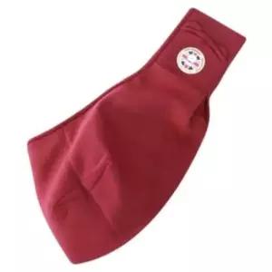 [반려] 애견 슬링백 1P 강아지 코지 이동가방 벨벳레드 대형