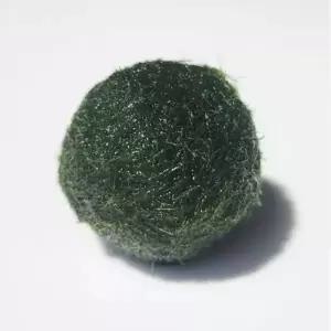 마리모 소 1cm 내외 1개