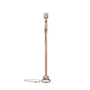 스탠딩마이크 노래 단상 공연 음악 스탠드 무대 방송