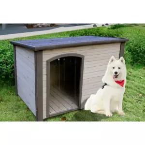 대형견 하우스 방부목 대형견하우스 고양이 방수 야외