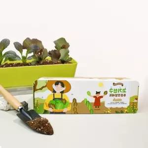 상추키우기 식물재배기 텃밭 세트 씨앗 화분 재배기 미니 베란다 홈