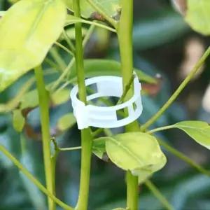 원예식물클립 식물키우기 고춧대클립 클립 고추 동그란 지지용