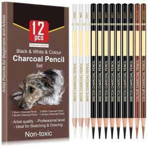 6/12 카본 연필 전문가용 백탄 하이라이트 흰색/검은색/컬러 스케치 아트 드로잉 도구