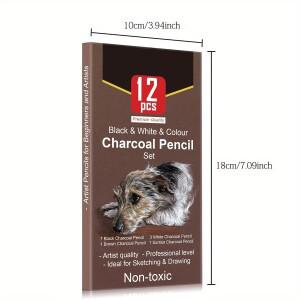 6/12 카본 연필 전문가용 백탄 하이라이트 흰색/검은색/컬러 스케치 미술 도구