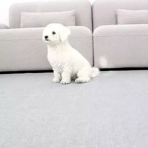 [골드스마일]루프짜임 견고하고 정교한 루프 룩 러그 200x270cm