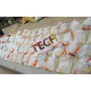 수족관 운송용 고품질 호흡 가방 물고기 새우 100 개