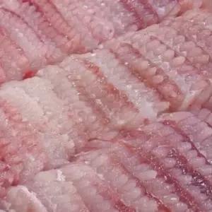 톡쏘는 알싸한 국내산 홍어 500g 생선 홍어회 술안주